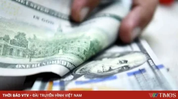 تباين أداء العملات مع صعود الدولار الأمريكي مقابل تراجع سعر اليورو